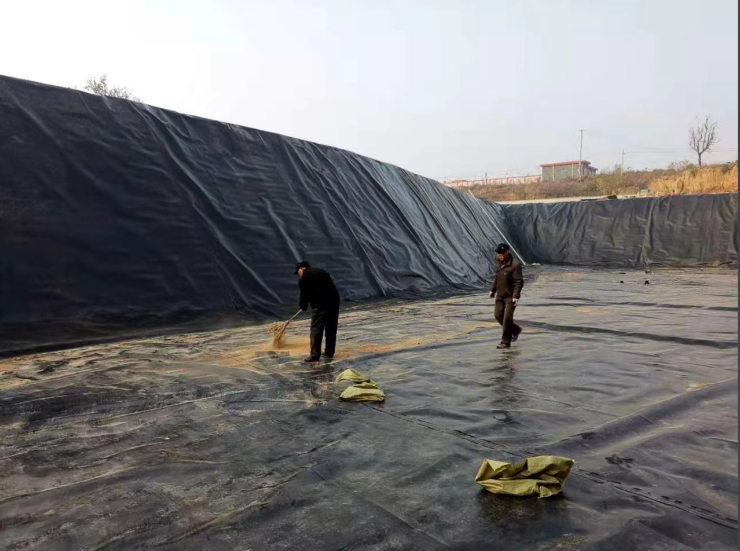 东莞市防渗土工膜防渗土工膜 - 厂家
